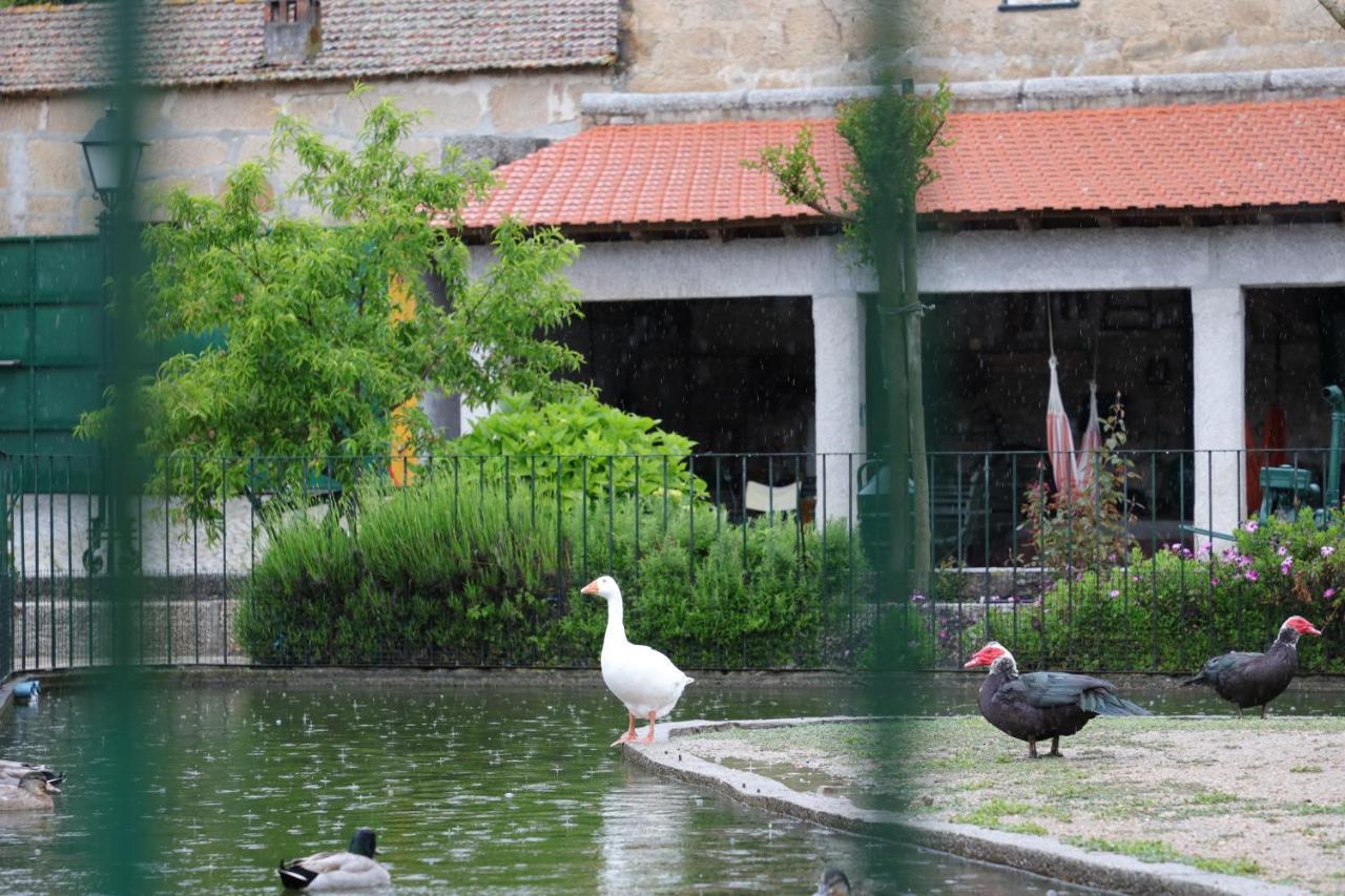 Quinta Dos Patos Villa Pinhanços Kültér fotó